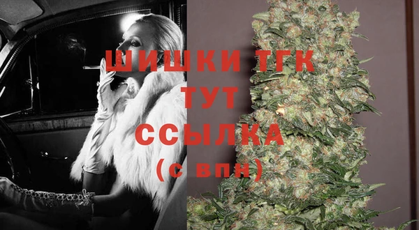 гидра Наволоки