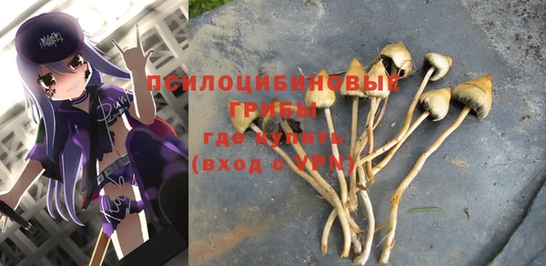 mix Абаза
