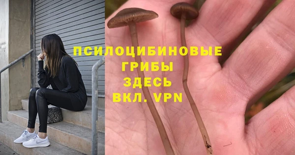 каннабис Абинск