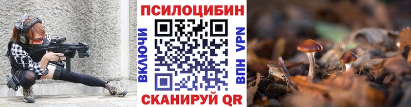 Галлюциногенные грибы мицелий закладка Сычёвка
